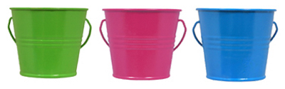 4OZ Citro Bucket ASSTD