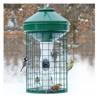 Birdfdr HD Caged Audubon