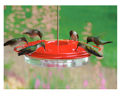 Hummingbird Feeder Classic with Hang Rod 6-Port 12oz