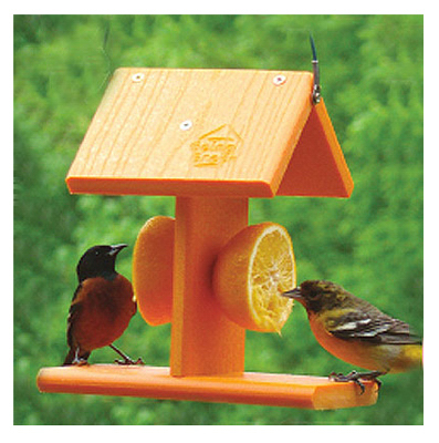 Oriole Feeder Recycled Going Green Orange