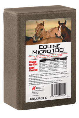 90011   Salt Brick Equine  4lb