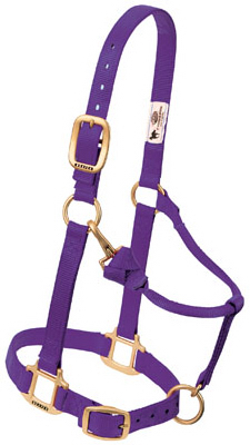 1" Purp ADJ Snap Halter