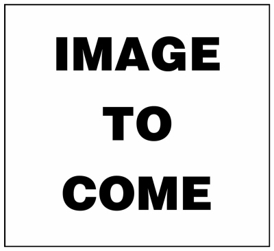 BOGO 5GAL EPW Paint