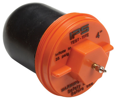 SS 2PK 36" Bungee Cord