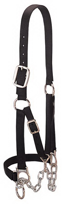 Med Blk Cow Halter W/ Chain