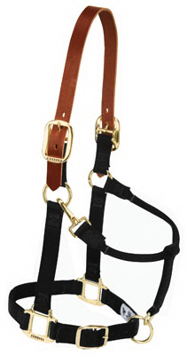 1" LG BLK Break Halter