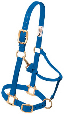 1" SM BLU Snap Halter