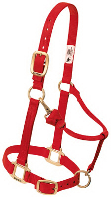 1" LG RED Snap Halter