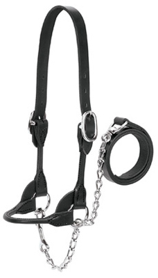 SM BLK Show Halter