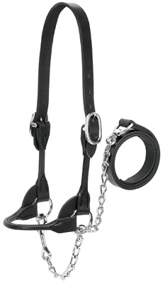 Halter - Leather Cow