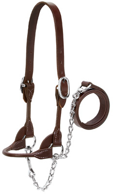 MED BRN 4H Show Halter