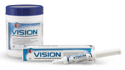 100505822 VISION SYRINGE 32.5ML