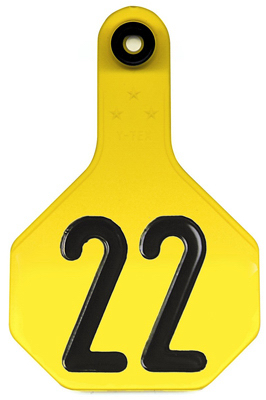 25PK MED YEL Number Tag