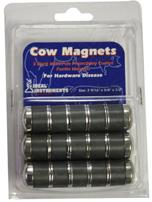 3pk Cow Magnet Rumen