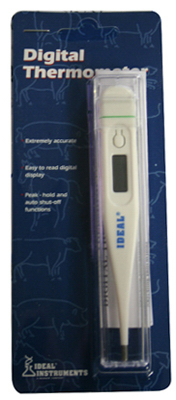 Thermometer Digital