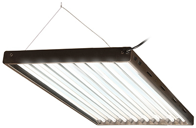 4' 8Bulb T5 Fixture