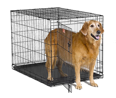 42" Crate Dog Training