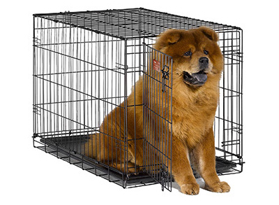 Dog Crate 36" Intermediate