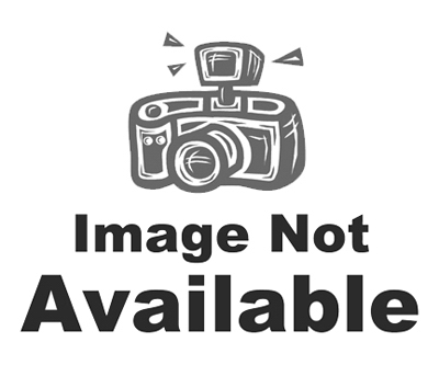 Ecosmart Bed Bug Killer For Mattresses & Carpets