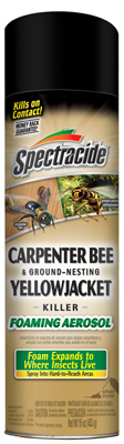 16OZ Carpent Bee Killer Spectr