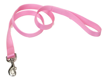 1x6 PNK Nyl Leash