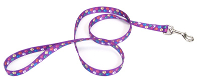 5/8x6 Spec Paws Leash