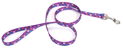 1x6 Spec PawsLeash