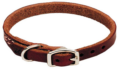 1/2x16 LTHR Dog Collar