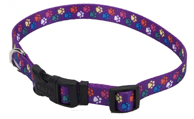 5/8" ADJ Paws Collar