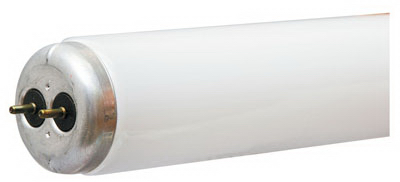 WP 48" 40W CW Fluo Tube