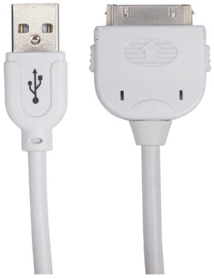 10' iPod Power/Sync Cable