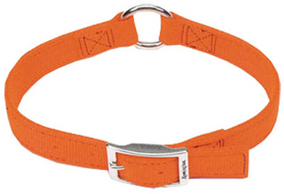 1x18 ORG Dog Collar            *