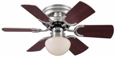 6" Exotic Lucca Planter