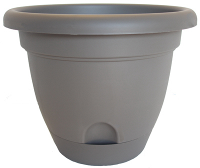 6" Pepper Lucca Planter