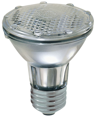 WP 38W Par20 FLD Bulb