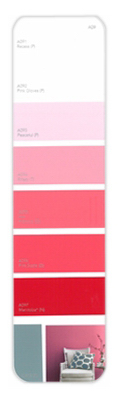 10PK Palette Card A09