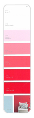 10PK Palette Card A14