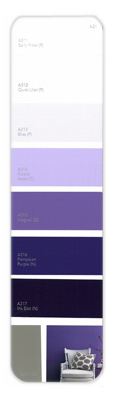 10PK Palette Card A31
