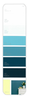 10PK Palette Card C23