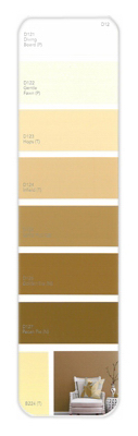10PK Palette Card D12