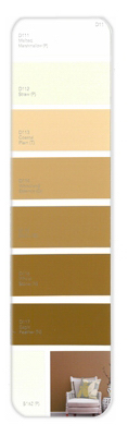 10PK Palette Card D17