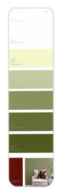 10PK Palette Card D21
