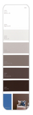 10PK Palette Card D35