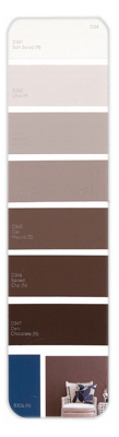 10PK Palette Card D34