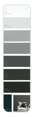 10PK Palette Card D40