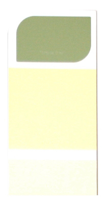 10PK WH IdeaCard WHIC55