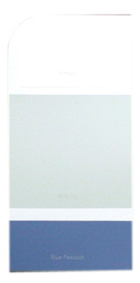 10PK WH IdeaCard WHIC24