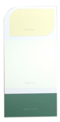 10PK WH IdeaCard WHIC23