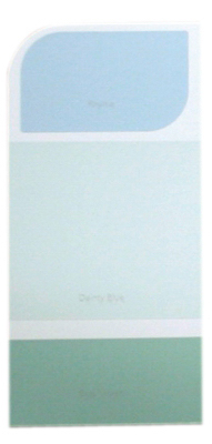 10PK WH IdeaCard WHIC22