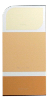 10PK WH IdeaCard WHIC30